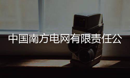 中国责任组成组长庭审中