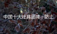 中国十大灶具品牌：防止雷同 坚持原创设计