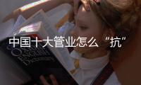 快排公司十年历程，霸屏兔 seo 的崛起与坚守