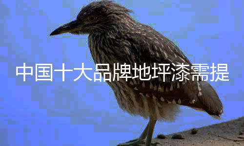 中国十大品牌地坪漆要想发展