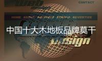 中国十大木地板品牌莫干山：用“新意”呵护全家