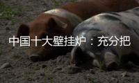 中国十大壁挂炉：充分把握时机 结合自身特色占据市场