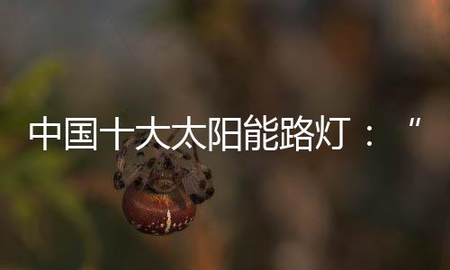 中国有业内人士表示