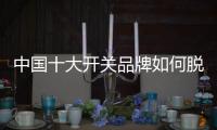 中国十大开关品牌如何脱颖而出一枝独秀?