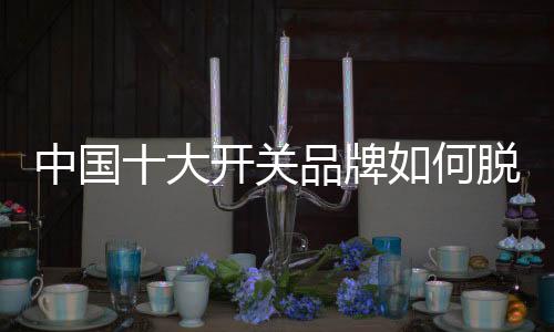 在这样的中国枝独环境下