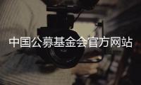 中国公募基金会官方网站观察：在难开“门”的情况下关上“窗”