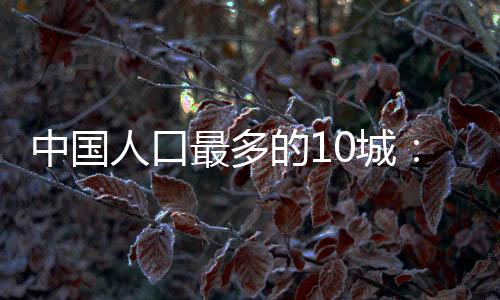 相当于一个中小省份
