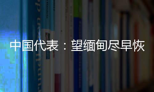 尽快通过政治对话解决分歧
