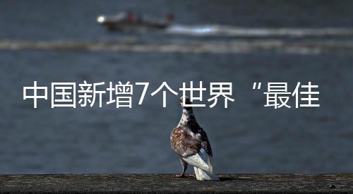 建立“不灭窑火”共富工坊