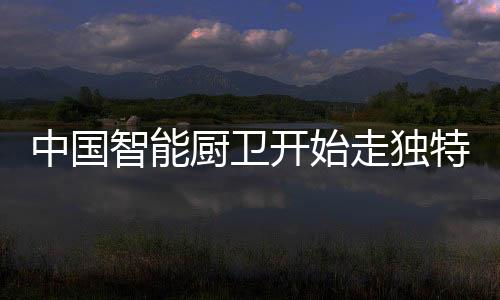 巩固销售市场的地位