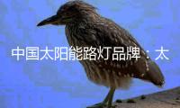 中国太阳能路灯品牌
：太阳能路灯促进了城市路灯的创新