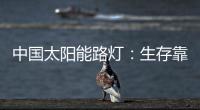 中国太阳能路灯
：生存靠个人 发展靠团队