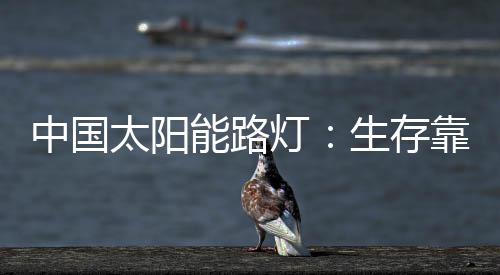 一个人的太阳力量是有限的