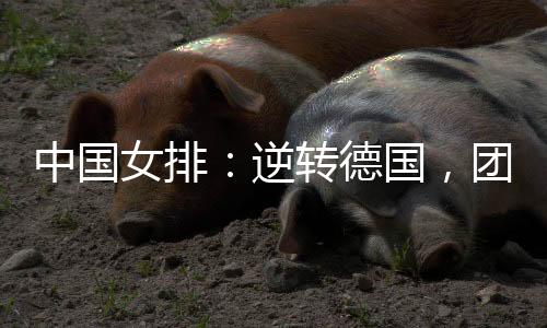 中国本届世界女排联赛中