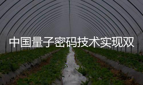 码技密已具备商用能力
