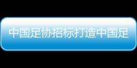 中国足协招标打造中国足球行业大模型，投标限价1068万元