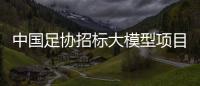 中国足协招标大模型项目，能帮助球员进球吗
？