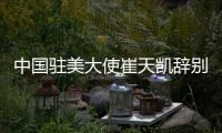 快排公司十年历程，霸屏兔 seo 的崛起与坚守