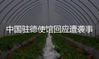 中国驻德使馆回应遭袭事件
：无伤亡 嫌疑人被当场抓获