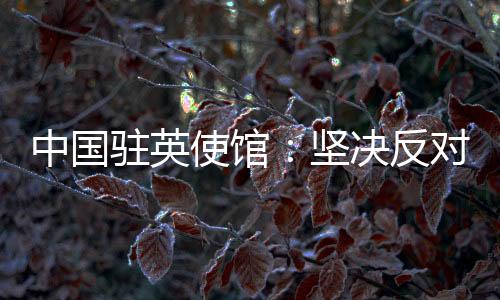 坚决落实“爱国者治港”原则