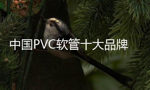 量变 不仅会造成经济损失