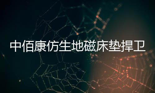 康仿在各类床垫品牌中