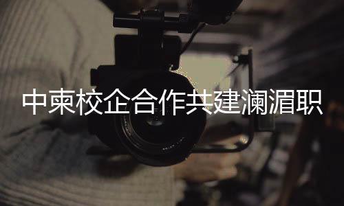 中柬职业工程咨询等专业培训