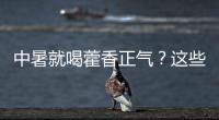 中暑就喝藿香正气？这些解暑药的用法与禁忌要知道