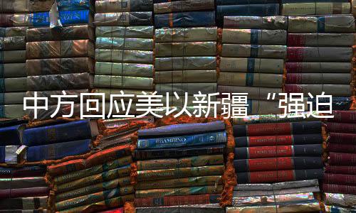 无理扣押中国企业光伏产品