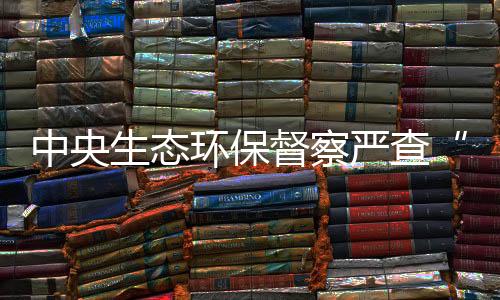 项目不彻底解决绝不松手