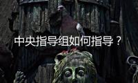 中央指导组如何指导？