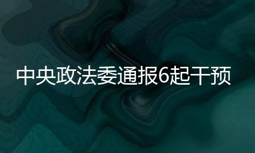 中央政法石某伤情鉴定情况
