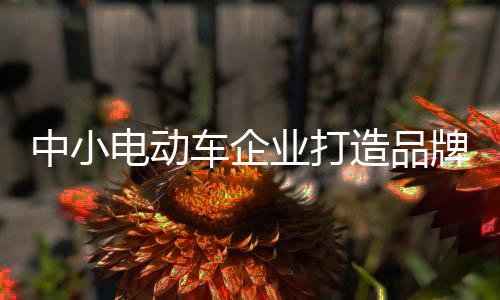 他们一元钱恨不得掰成两半花