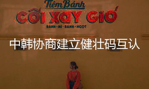 中韩制有记者提问