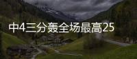 快排公司十年历程，霸屏兔 seo 的崛起与坚守