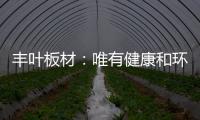丰叶板材：唯有健康和环保不可辜负!
