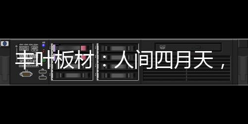 红花吐蕊温馨四月