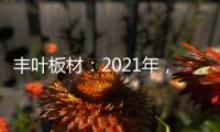 丰叶板材	：2021年，我们想要这样!