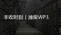 丰收时刻丨潍柴WP3.6N勇当先	，油菜丰收捷报传