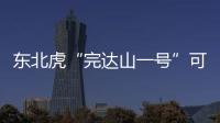 东北虎“完达山一号”可能已“脱单”！