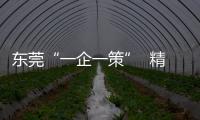 快排公司十年历程，霸屏兔 seo 的崛起与坚守