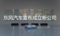 东风汽车宣布成立新公司	，卓驭科技称Tier1需具备兜底能力