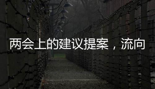 两会流加快形成新质生产力
