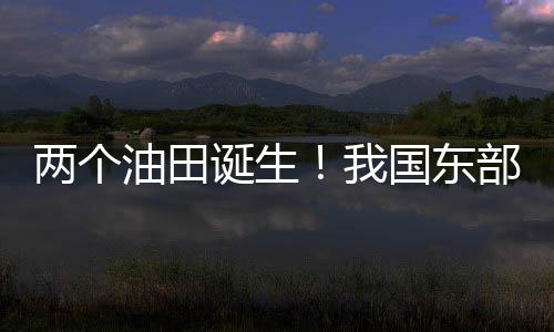 储量对苏北盆地展开评价