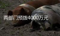 两部门预拨4000万元中央自然灾害救灾资金
，支持琼粤桂防汛防台风