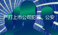 严打上市公司犯罪
	，公安部公布5起典型案例