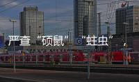 严查“硕鼠”“蛀虫”
，十起典型案例公布！