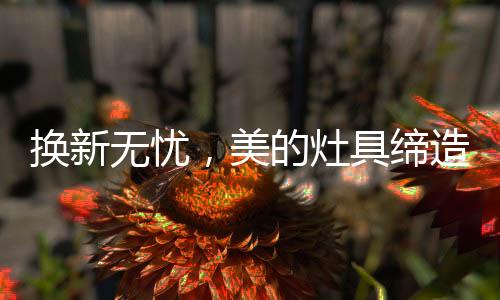 灶具准功能描述千篇一律