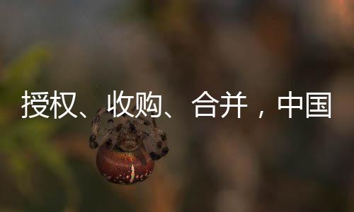 公司将以睿跃生物的名义运营