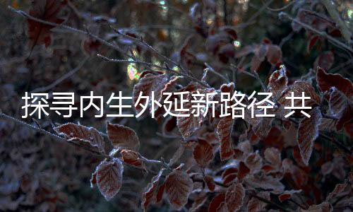 清新环境总裁李其林介绍